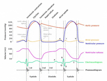 a diagram of the aortic pressure , ventricular pressure and electrocardiogram .