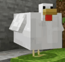 a white chicken with a red beak is standing on a grass covered field in minecraft .