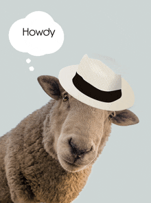 a sheep wearing a hat with a thought bubble that says howdy above it