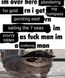 a cat wearing a pirate hat with the words im over here plundering for gold pointing east sailing the 7 seas