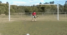 a soccer goalie is jumping in the air to catch a soccer ball in front of a soccer goal .