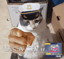 a cat wearing a captain 's hat points at someone