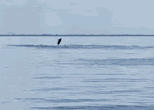 a person on a surfboard in the ocean