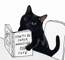 a black cat reading a book titled how to be super annoying and cute