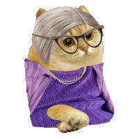 a cat wearing glasses and an old lady wig