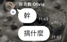 a screenshot of a text message between olivia and another person