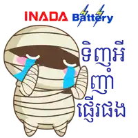 a cartoon of a mummy crying with inada battery written on the bottom