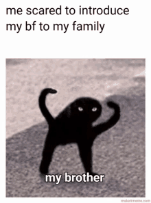 a picture of a black cat with the words " me scared to introduce my bf to my family my brother "