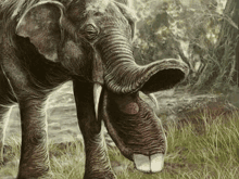 a painting of an elephant with its mouth wide open standing in the grass