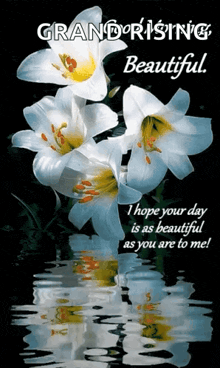 a greeting card that says grand rising beautiful on it