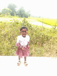 a little girl in a red and white dress stands in front of a field of flowers