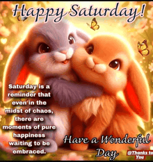 saturday is a reminder that even in the midst of chaos there are moments of pure happiness