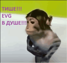 a monkey is standing in front of a green background with evg in purple letters