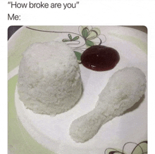 a plate of rice and a fried chicken leg with ketchup