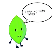a green leaf with a speech bubble that says " i miss my wife hackie "