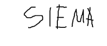 a black and white drawing of the name sieman