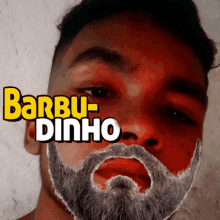 a man with a beard has the name barbu-dinho written on his face