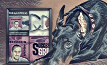 a dog is laying next to a box that says successgrid podcast