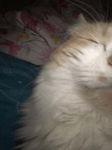 a cat laying on a bed with a floral blanket