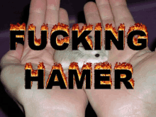 a person is holding a hamster in their hands with the words " fucking hamer " written in flames