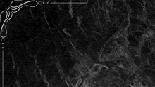 a black background with a white dragon and the letters m.v.