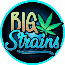 a logo for big strains shows a marijuana leaf