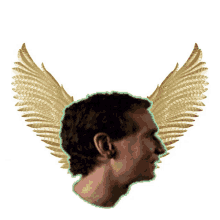 a man 's head with gold wings on it