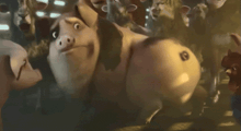a cartoon pig is surrounded by other pigs and looks very angry