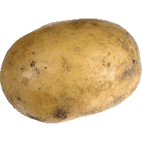 a potato with brown spots on it is on a white surface