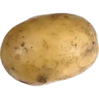 a potato with brown spots on it is on a white surface