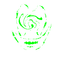 a green swirl on a white background with the letter g on it