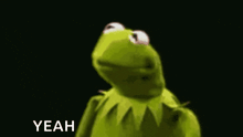 kermit the frog is making a funny face and saying yeah .