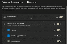 a screenshot of the privacy and security settings page