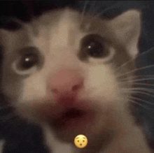 a close up of a cat 's face with a yellow smiley face on its neck .