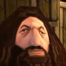 a man with a beard and long hair is wearing a wig and looking at the camera .