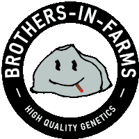 brothers-in-farms high quality genetics logo with a smiling rock in the center