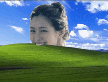 a woman 's head is sticking out of a grassy field