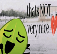 a picture of a leaf with the words thats not very nice