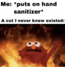 elmo from sesame street is on fire and says `` me : puts on hand sanitizer '' .