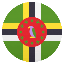 a round flag with a bird in the middle of it