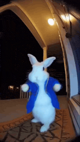 a white rabbit wearing a blue coat is standing on a porch at night .