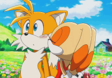 tails the fox and cream the rabbit are standing in a field of flowers