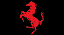 a red horse is standing on its hind legs