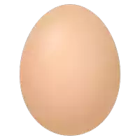 a brown egg on a white background that looks like a person 's face