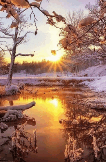 a sunset over a snowy river with the sun shining through the trees