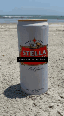 a can of stella beer sits on the beach