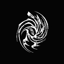 a black and white image of a swirl on a black background