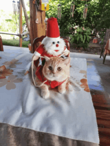 a cat wearing a santa outfit sits on a table next to a snowman