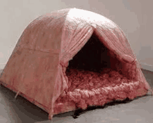 a pink tent made out of meat is sitting on a concrete floor .