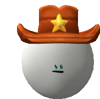 a cowboy hat with a yellow star on it